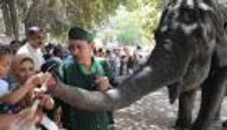 "نعيمة" تلحق بـ"كريمة" بعد 3 سنوات.. وفاة أشهر فيل بحديقة حيوان الجيزة