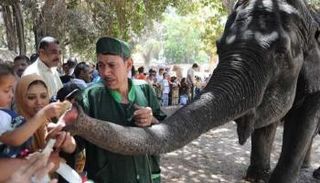 وفاة "نعيمة" بحديقة حيوان الجيزة