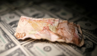 الليرة التركية تواصل السقوط أمام الدولار