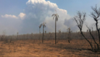 هدية من السماء تنقذ بوليفيا من حرائق الغابات