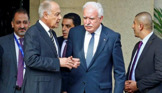 أبوالغيط في لقاء سابق مع رياض المالكي