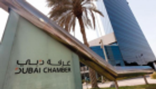 21.4 مليار درهم حصة "تكنولوجيا المعلومات" من الناتج المحلي للإمارات