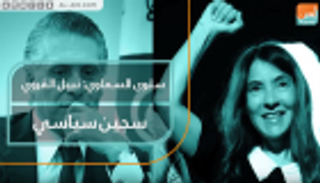 سلوى السماوي: نبيل القروي سجين سياسي
