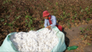 4 أسباب لارتداء ملابس صديقة للبيئة.. موضة مستدامة