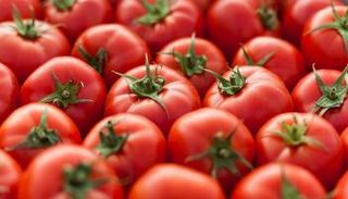 الصبغة التي تعطي الثمرة لونها الأحمر قد تعزز نوعية الحيوانات المنوية