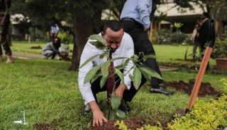 رئيس الوزراء الإثيوبي آبي أحمد الحاصل الفائز بنوبل للسلام