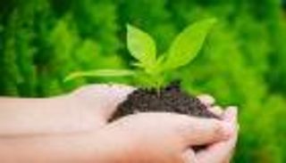 يوم البيئة العربي.. جهود لحل مشاكل التصحر وشح مصادر المياه