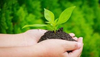 الدول العربية تكثف جهودها لحل المشكلات البيئية عبر مبادرات مشتركة