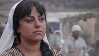 الفنانة السورية نجوى علوان 