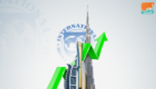 الإمارات تعرض تطوراتها الاقتصادية أمام صندوق النقد والبنك الدوليين