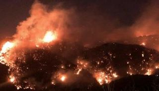 حرائق لبنان تأتي على الأخضر واليابس