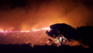 نيران الطبيعة تشعل سوريا المكتوية بأتون الحرب