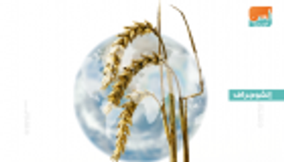 4 أهداف لليوم العالمي للأغذية