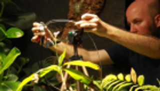 "بيتي".. أول نبتة تلتقط سيلفي في العالم بكاميرا تعمل بطاقتها