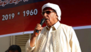 وزير داخلية ليبيا الأسبق: مخطط دولي لتوطين المهاجرين غير الشرعيين بالبلاد