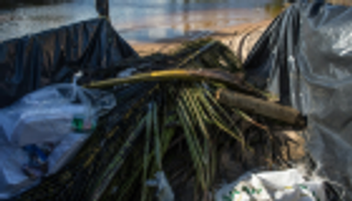 تلوث نفطي يضرب شاطئ كارنيروس البرازيلي