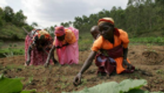 صندوق النقد يقلص توقعات النمو بدول جنوب الصحراء الأفريقية إلى 3.2% 