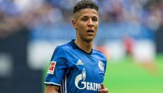 أمين حارث لاعب شالكه الألماني