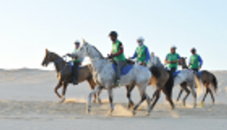 سباقات بوذيب التأهيلية لركوب القدرة والتحمل تنطلق الخميس