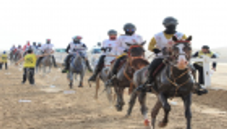 تدشين أول سباقات القدرة في قرية الإمارات العالمية بالوثبة "الجمعة"