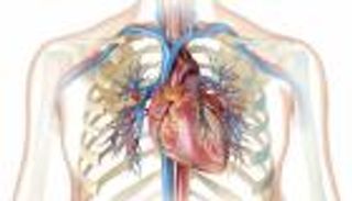 إنتاج أوعية دموية بتقنية الطباعة ثلاثية الأبعاد