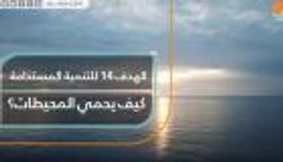 حماية المحيطات تحقق التنمية المستدامة