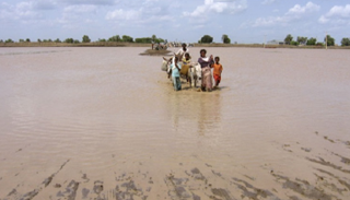 الوضع في جنوب السودان "مثير للقلق للغاية"