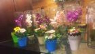 مصرية تصنع الزهور من السيراميك في 5 دقائق