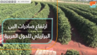 ارتفاع صادرات البن البرازيلي للدول العربية