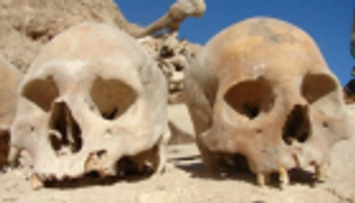 42 جمجمة داخل وكر لعصابة مخدرات في المكسيك