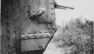 حيوانات وطيور استخدمت في أغراض عسكرية