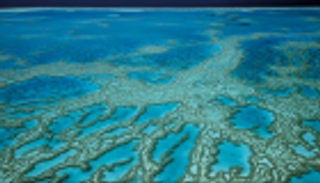 أستراليا تحمي الحيد المرجاني العظيم بـ96.5 مليون دولار