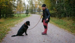 ماريان ماير مدرّبة الكلاب
