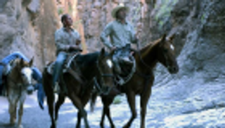 تكريم المكسيك بـ8 أفلام في "القاهرة السينمائي"