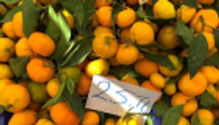 روسيا تعيد 370 طنا من اليوسفي الفاسد لتركيا 