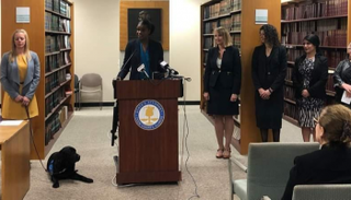 "هاتي".. أول كلبة محامية في أمريكا