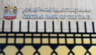 المركزي الإماراتي يدرس معوقات التمويل للمشاريع متناهية الصغر