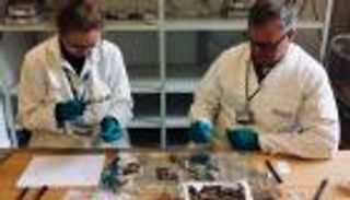 بروتين عظام السلاحف يكشف أسرارا غذائية منذ آلاف السنين