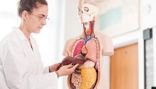  اتباع التغذية الصحية يقاوم ارتفاع إنزيمات الكبد