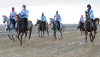 انطلاق سباقات حمدان وزايد بن محمد بن خليفة للقدرة الخميس