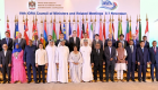 الإمارات رئيسا لرابطة الدول المطلة على المحيط الهندي