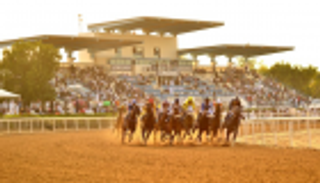 يتنافسون على 400 ألف درهم.. 85 جوادا في سباق كأس حمدان بن راشد