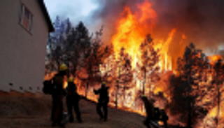 حرائق الغابات تجتاح منطقة هوليوود هيلز بكاليفورنيا