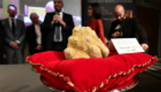 كمأة بيضاء بـ120 ألف يورو في مزاد