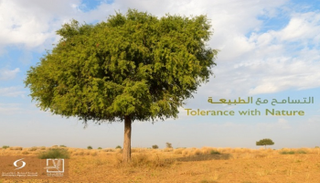 واحة التسامح ضمن مبادرة "التسامح مع الطبيعة"