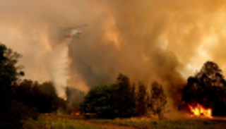 النيران تأكل 1.1 مليون هكتار من غابات أستراليا