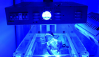 "الإجهاض الصامت".. الهواء السام يقتل الأجنة في نيودلهي