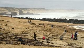 الشرطة ضبطت الشاب وبحوزته الكوكايين على شاطئ "لاكانو" - أرشيفية