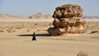 9 خطوات لحصول المصريين على التأشيرة السياحية للسعودية