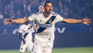 زلاتان إبراهيموفيتش